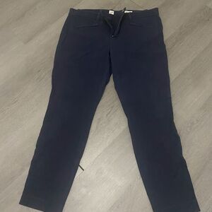 🌿GAP Dark Blue Skinny Ankle Pants